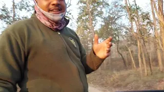 Jungle Safari at Pench National Park from Khursapar Gate