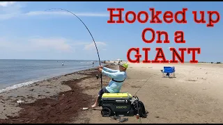 I hooked a ***GIANT***  from the beach | Grand Isle Louisiana