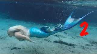 Bill's Amazing Swim With A Mermaid 2