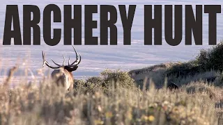 Elk were going WILD with all the bugling during this Nevada archery hunt!