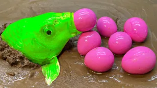 Serok ikan hias warna-warni, ikan koi, ikan mas koki lucu, gurita, ikan gurami Stop Motion ASMR