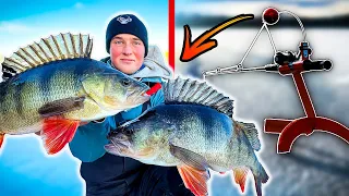 TARGETED ICE FISHING FOR BIG PERCH WITH INSANE RESULTS | Team Galant