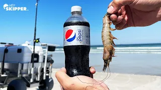 SECRET BAIT FOR SURF FISHING? Diet Pepsi Soaked Shrimp