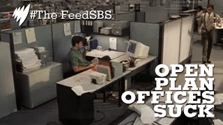 Why open plan offices suck for everyone I The Feed