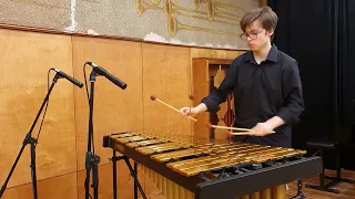 The Little Jazz Waltz - Andrei Pushkarev - vibraphone solo