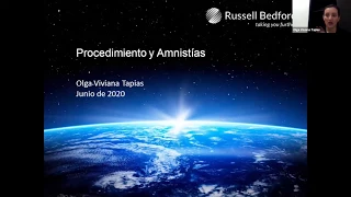 Procedimiento y Amnistías I