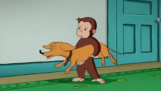 Georges le Petit Singe 🐵 La Mère du Chat 🐵 Dessins Animés