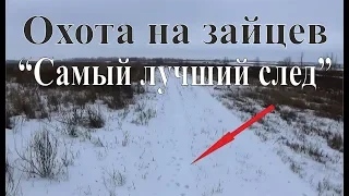 Охота на зайца - Самый лучший след