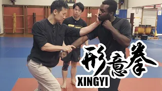 This XingYi Master is CRAZY FAST!