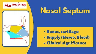 Nasal Septum I Anatomy I Mediklaas