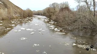 Ледоход на Сакмаре в Кувандыке 06 04 2024