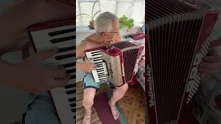 New Weltmeister accordion, 7/8 accordion, 96 Bass, 34 keys, 3 voices, 5+3 registers, ON SALE