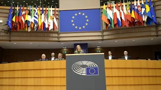 Inaugurata un'intercommissione tra Europarlamento e Ucraina: primi passi verso l'adesione Ue