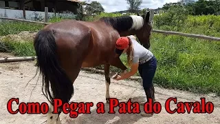 Como Pegar a Pata do Cavalo - DICAS PARA INICIANTES