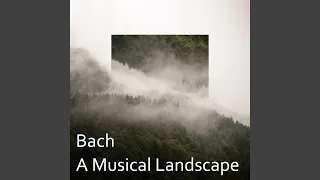J.S. Bach: Goldberg Variations, BWV 988: Var. 29 a 1 ovvero 2 Clav.