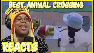 Best Animal Crossing New Horizons  Clips #79 | TRIKO | AyChristene Reacts