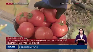 ТЕПЛИЧНЫЕ ХОЗЯЙСТВА ШЫМКЕНТА И ТУРКЕСТАНСКОЙ ОБЛАСТИ НА ГРАНИ ЗАКРЫТИЯ