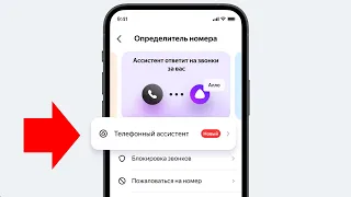Как включить новый бесплатный телефонный ассистент с голосом Алисы от Яндекса