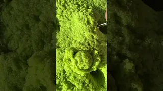Exorcist Vomit 🤮 OBSESSED with this new texture!!