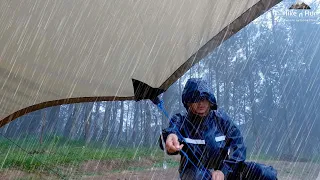 🔴 Solo Camping in Heavy Rain: Relaxing ASMR Thunderstorm & Rain for Sleep Experience