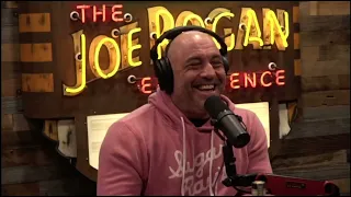 Joe Rogan talks about doing comedy in Rhode Island and Connecticut @joerogan