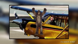 Harrison Ford's Phone Call to ATC After He Landed His Husky On a Taxiway