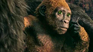 Godzilla x Kong: The New Empire Clip - “Is That A Baby Kong?" (2024)