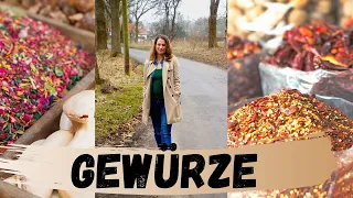 GEWÜRZE in meiner Küche. Wie verwenden? Welche Qualität? Basics & Lieblinge!