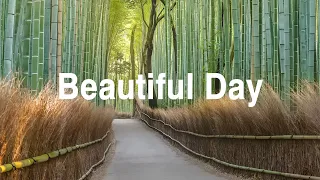 [作業用BGM] 最高の朝の音楽で一日をスタート - Beautiful Day