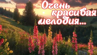 #Музыка_для_души 🎺и хорошего настроения🙂и очаровательные🌞пейзажи природы 🌺Цветущие мальвы🌸Relax