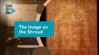 The Image on the Shroud | Stars, Cells, and God