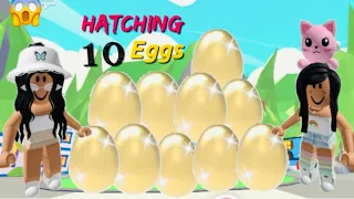 😱 Hatching 10 GOLDEN EGGS IN Adopt Me ! Do I Get My Dream Pet ?