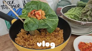 밥(=rice)에 미친놈｜냉이볶음밥, 지지고라이스, 장조림버터밥, 콩불, 파전, 감자핫도그｜자취생 브이로그