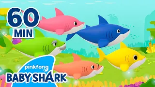 NEW Baby Shark Doo Doo Doo 1 hour | +Compilation | Baby Shark Remix | Baby Shark Official