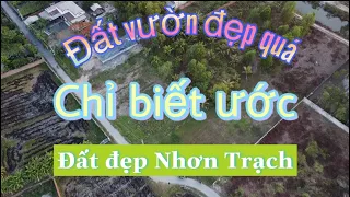 Lô đất vườn đẹp thế này không mua thì mua đất nào nữa? Đất vườn Nhơn Trạch quá đẹp