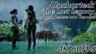 Uncharted: The Lost Legacy - Elephant Rescue!