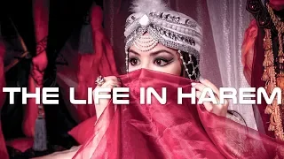 The Life in Harem Documentary