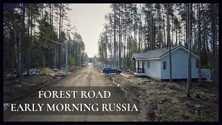 Walking tour along the FOREST ROAD EARLY MORNING Russia St. Petersburg