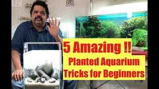 Aquascaping Tips for Beginners | Planted Aquarium Tricks for Beginners | Planted Aquarium Setup