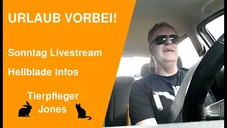 Jones der Tierpfleger - Kater Flash & Kaninchen Moppel - Hellblade Release & Livestream Plan