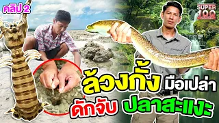 How to catch mantis shrimp !? The way of life by Jungle Joe style (ENG SUB)
