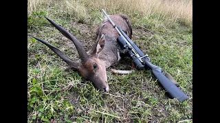 Outdoor Quest Ep#5 2023 South Africa Bushbuck/Fallow Deer
