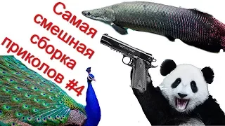 ЛУЧШИЕ ПРИКОЛЫ 2018 МАРТ #2 Лучшая Подборка Приколов