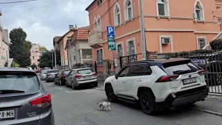 Belgrade streets | Улица Братьев Гримм и Чарли Чаплина в Белграде| Иммиграция в Сербию 2022