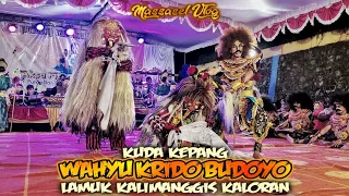 WKB DUWE GAWE,,, ❗️❗️❗️ KUDA KEPANG WAHYU KRIDO BUDOYO LAMUK KALIMANGGIS KALORAN,,,