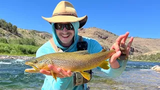 WILD Green River Brown Trout - Episode 1