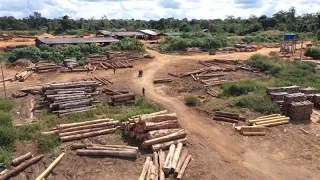 Caminhos da Reportagem | Amazônia em alerta