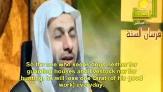 No Pet Dogs in Islam or Angels wont visit you and you will suffer in the after life