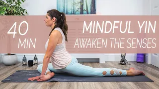 Mindful Yin To Awaken The Senses - 40 Minutes - Sacred Lotus Yoga