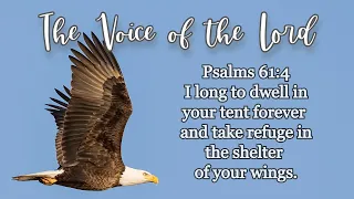 Psalms 61:4 The Voice of the Lord  September 26, 2021 by Pastor Teck Uy
